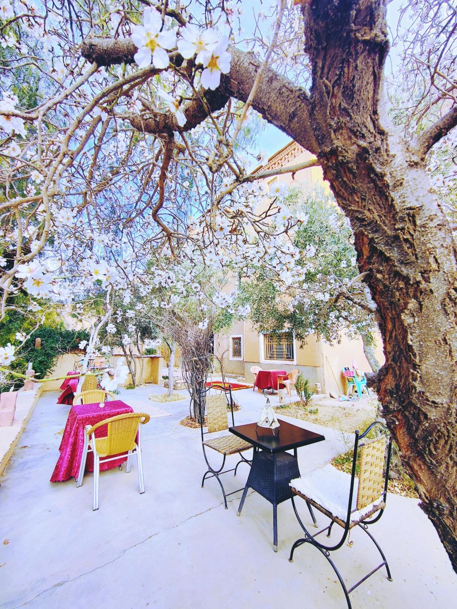 Riad Kasbah Des Roches Akhendachou n'Ait Ouffi Esterno foto